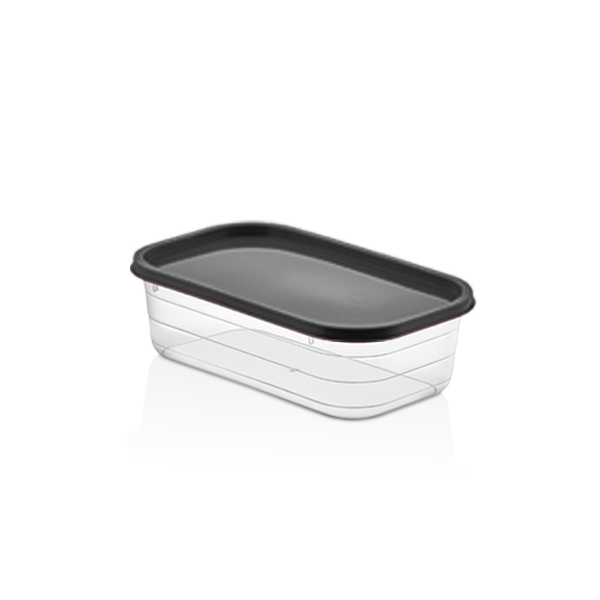 PROBOX RECTANGLE STORAGE BOX 600 ML 