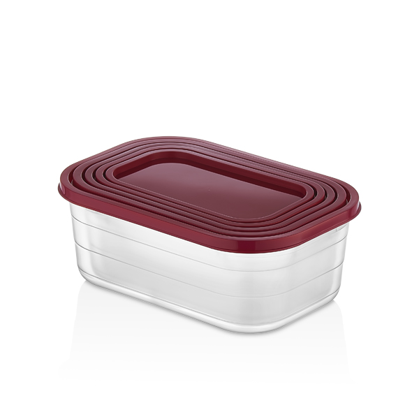 390,600,880,1250,1800 ML PROBOX RECTANGLE STORAGE BOX MINI SET OF 5